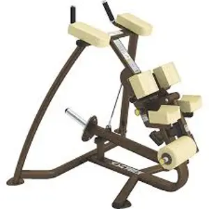 Cybex Leg Curl 16310
