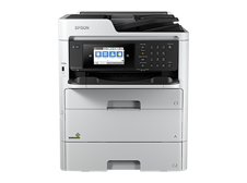 Epson Printer WF-C579R