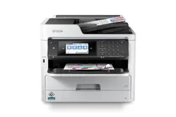 Epson Printer WF-C5710