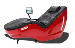 WellnessSpace Brands HydroMassage Bed 450L