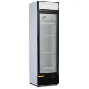 Pentland Wholesale Glass Door Cabinet BF1SS