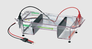 Bio-Rad Agarose Gel Electrophoresis System Sub Cell GT