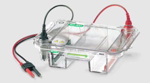 Bio-Rad Agarose Gel Electrophoresis System Wide Mini-Sub Cell GT