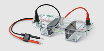 Bio-Rad Agarose Gel Electrophoresis System Mini-Sub Cell GT