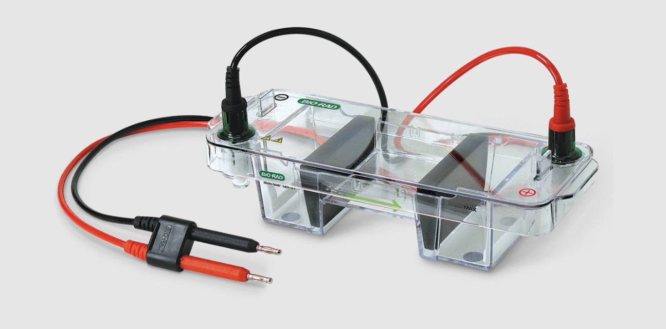 Bio-Rad Agarose Gel Electrophoresis System Mini-Sub Cell GT