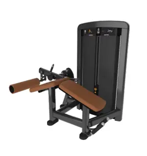 Life Fitness Training Machine SS-LC