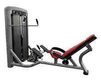 Life Fitness Training Machine SS-GLD