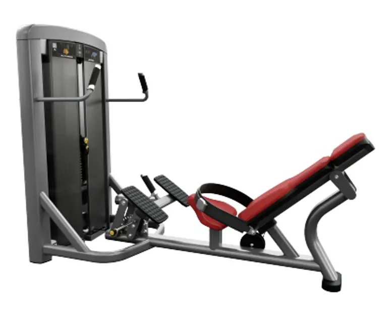 Life Fitness Training Machine SS-GLD