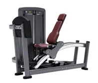 Life Fitness Training Machine SS-LP