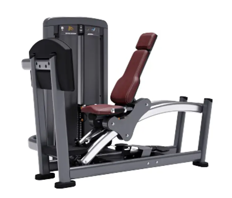 Life Fitness Training Machine SS-LP