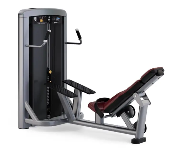 Life Fitness Training Machine SS-GLB