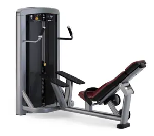 Life Fitness Training Machine SS-GLB