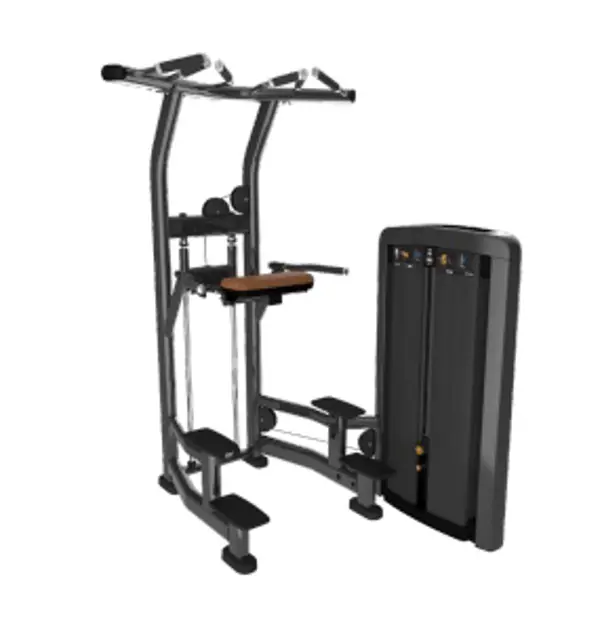 Life Fitness Training Machine SS-ADC