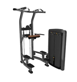 Life Fitness Training Machine SS-ADC
