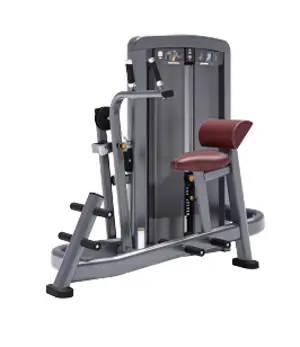 Life Fitness Training Machine SS-ABD