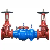 Wilkins Double Check Valve Assembly Type 350 / Size 2-1/2""