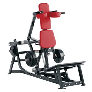 Hammer Strength Hammer Strength Plate-Loaded PL-LR