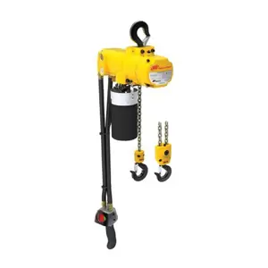Ingersoll Rand Compact Lift Air Chain Hoist CL250K-2C10-C6U