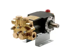Pentair Plunger Pump 2221B-P