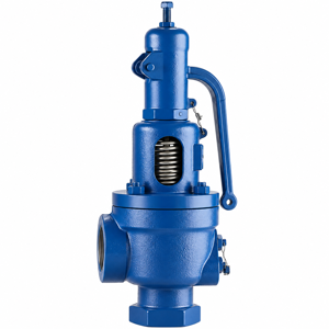 Spirax Sarco Safety Valve SV 3 DN 15