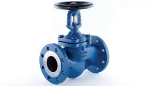 Spirax Sarco Valve BSA2 PN25 DN15-DN25