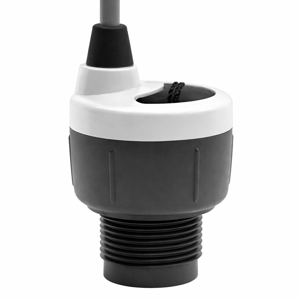 Flowline Ultrasonic Level Transmitter DL10-11