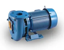 Aurora Pumps End Suction Pump 362A