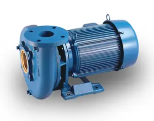 Aurora Pumps End Suction Pump 362A