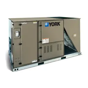 York SINGLE PACKAGE AIR CONDITIONERS AND SINGLE PACKAGE GAS/ELECTRIC UNITS PREDATOR DM120
