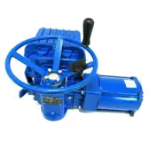 Flowserve Actuator L120-20