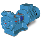 Blackmer Liquified Gas Pump RC25