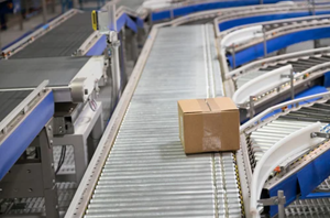 Bastian Solutions Conveyor RLVDC