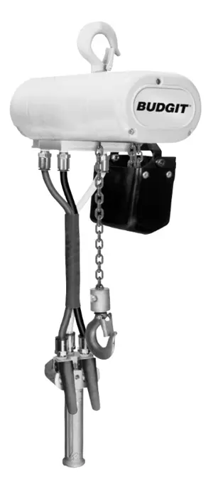 Budgit Air Chain Hoist 1000 lbs