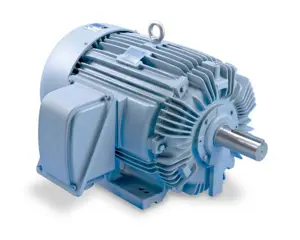 TECO Electric Motor AEEAFP