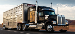 Kenworth Truck Company Vehicle W990
