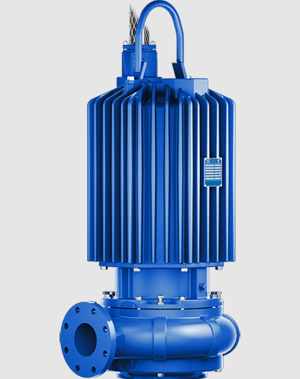 The Gorman‑Rup Pump SFDEV4D