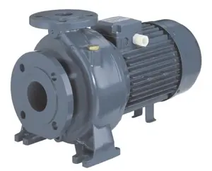 Ebara International Corporation Pump MD