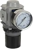 Parker Hannifin Particulate Filter P33RA96BNGP