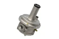 Boss Gas Pressure Regulator DN 20
