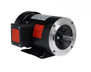 WorldWide Electric Corporation Induction Motor WSSNV13-18-56CB