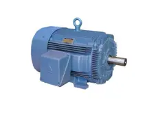 WorldWide Electric Corporation Three-Phase Motor 145T