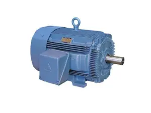 WorldWide Electric Corporation Three-Phase Motor 145T
