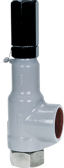 Baker Hughes Safety Relief Valve 19000 Series