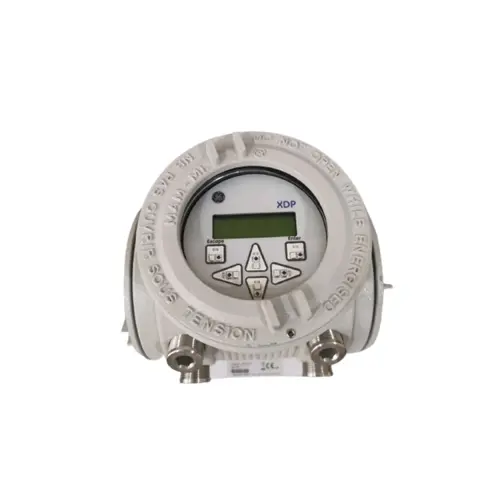 Baker Hughes Explosion-Proof Display Package XDP-H2