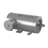 Baldor Food Safe AC Motor CFSWDM3546T-E-G