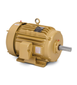 Baldor Pump Motor P25G7402