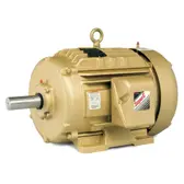 Baldor Crusher Duty AC Motor ECR9604T