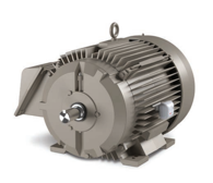 Baldor Crusher Duty AC Motor ECR9506TR