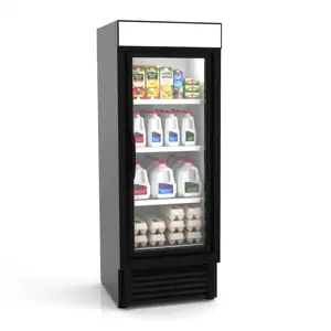 Hussmann Merchandiser With Hinged Doors ARV-300