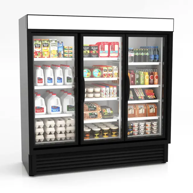 Hussmann Low Temperature Merchandiser LTH-68